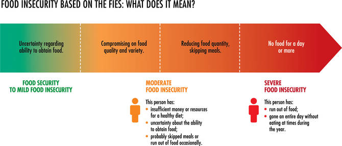 Food Insecurity Experience Scale by FAO