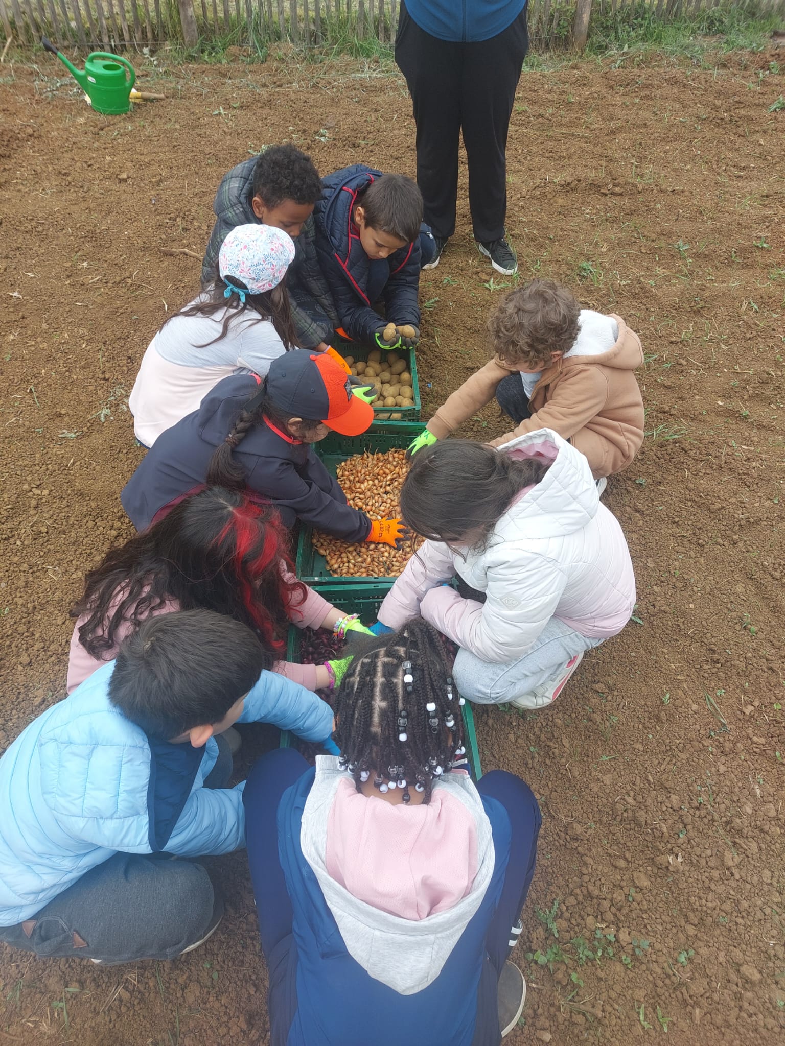 Children planting seeds