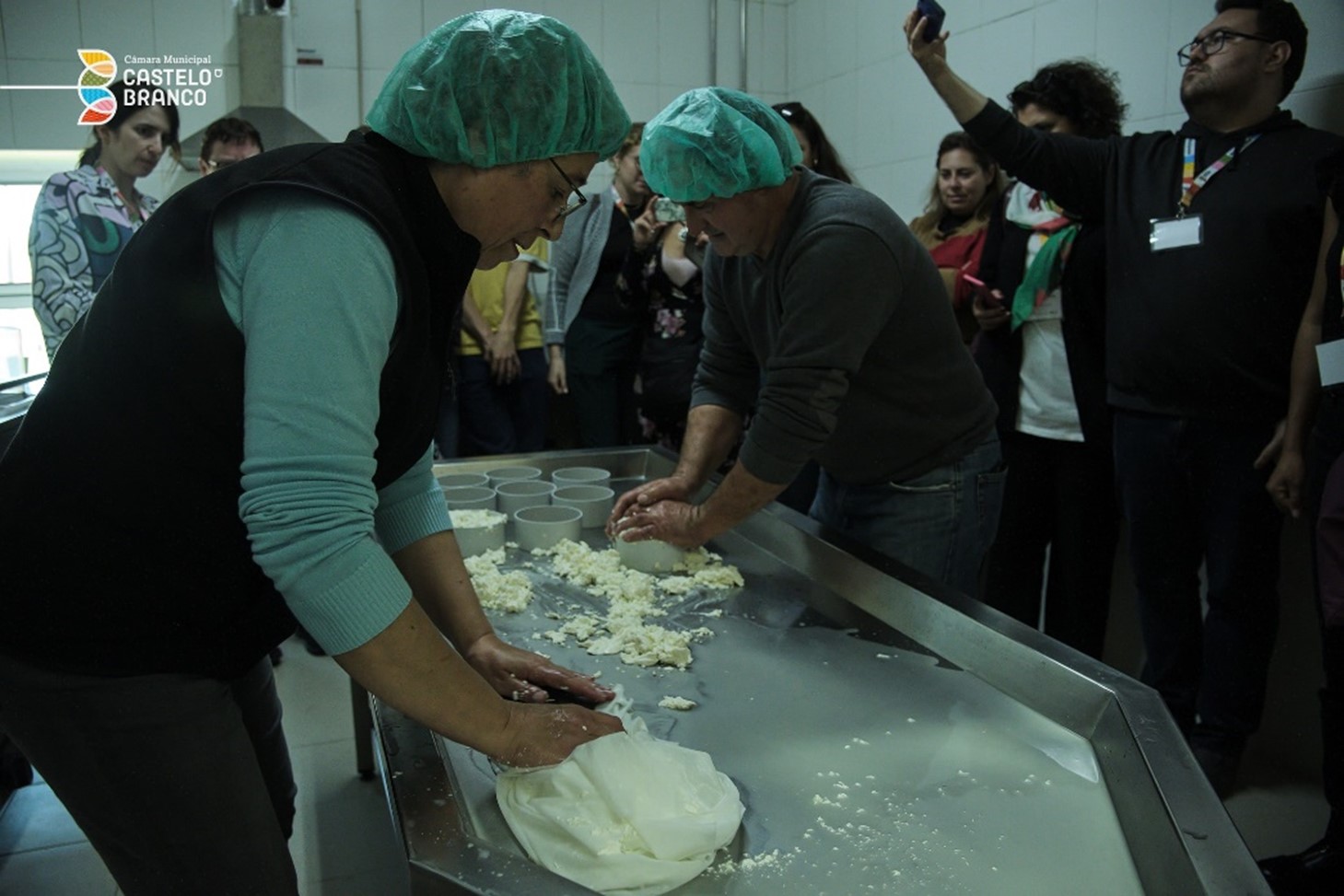 Watch cheese making in a local producer