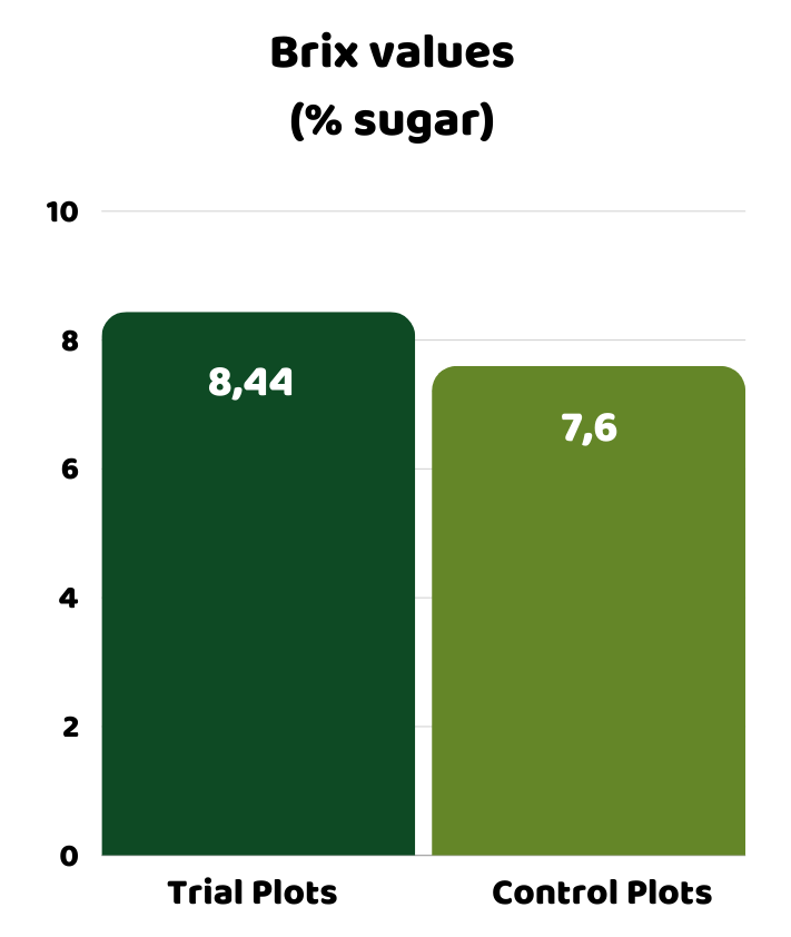 graph of brix values in the harvested carrots